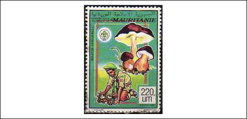 Mauritanie Scouting Postage Stamp
