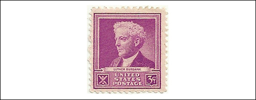 Luther Burbank Stamp